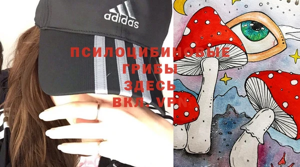 спайс Лабытнанги