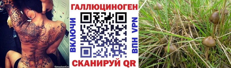 Галлюциногенные грибы ЛСД Набережные Челны